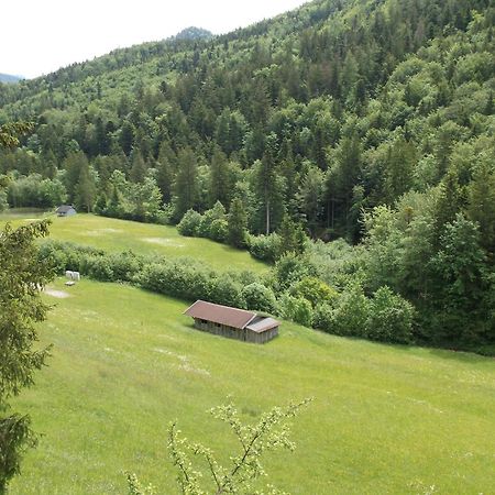 Kleine Einfache Ferienwohnung In Malerischer Umgebung Salzburgs Koppl Εξωτερικό φωτογραφία