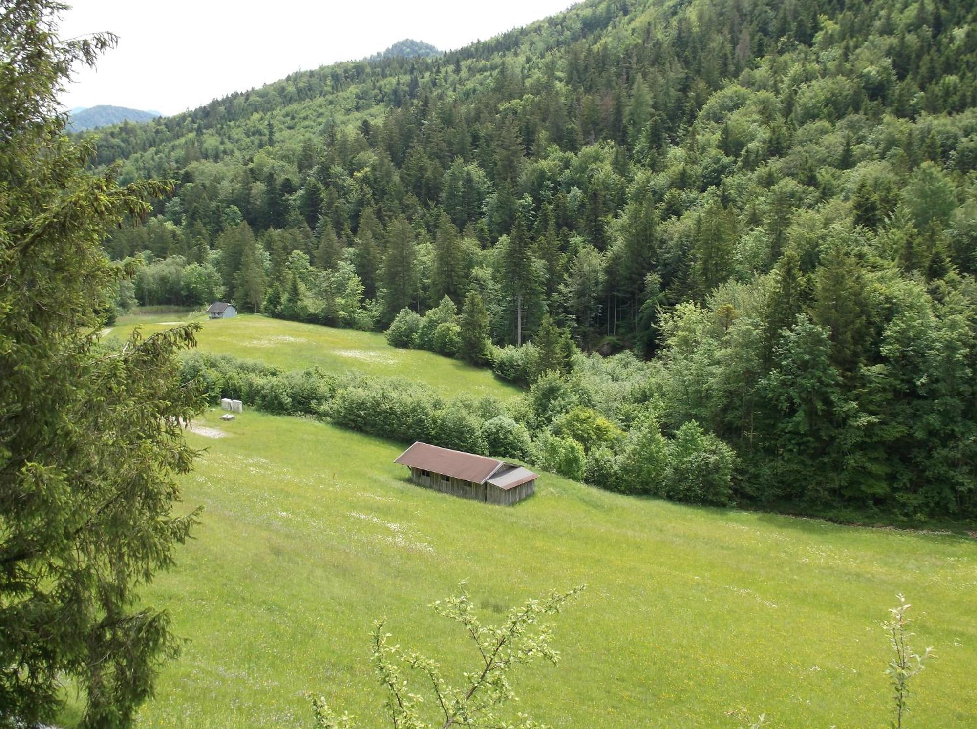 Kleine Einfache Ferienwohnung In Malerischer Umgebung Salzburgs Koppl Εξωτερικό φωτογραφία